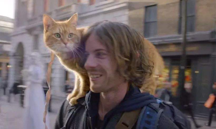 北京影视特效设计师培训班哪个好