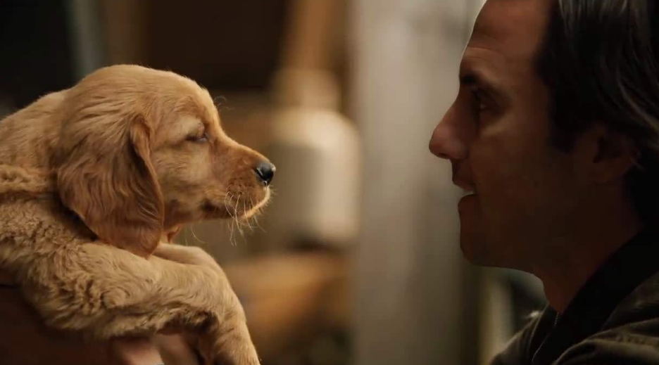 西安影视后期的培训班哪家好