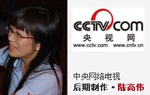 陆高伟-中央网络电视